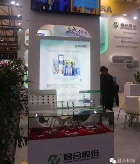 Últimas noticias de la empresa sobre Junhe comparte la exposición internacional 2015 del tratamiento superficial de Shangai del ® acertado de la exposición SFCHINA